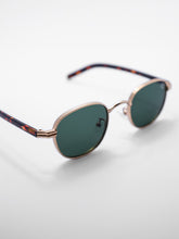 sunglasses / Brown Auryn Sunglasses