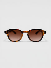sunglasses / Brown Cirel Sunglasses
