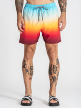 swimshorts / Multicolor Oasis Swimshorts